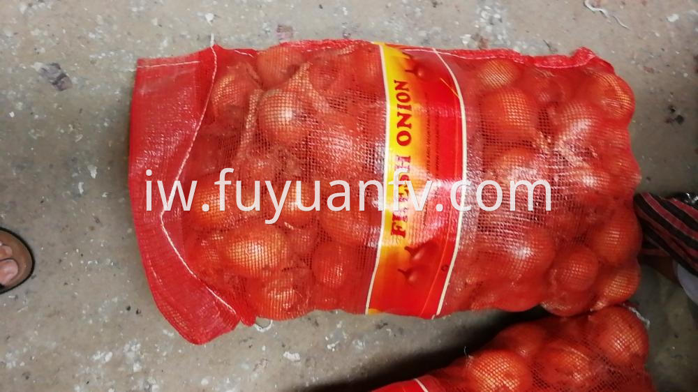 Fresh Gansu Onion